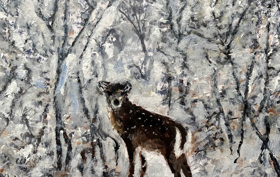 Deer In Frosty Forest