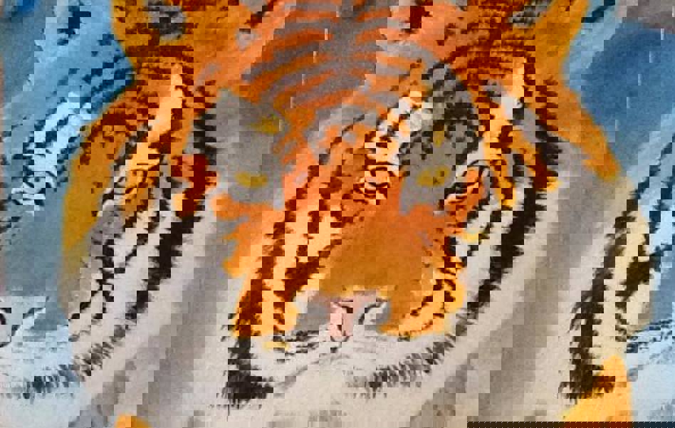 10801591 792364584158054 1815142528289290184 N