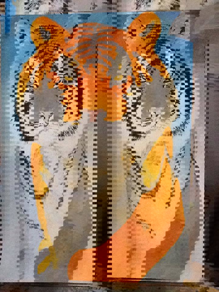 10801591 792364584158054 1815142528289290184 N
