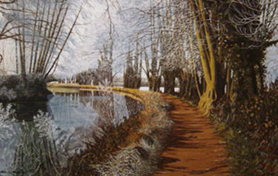 Path In The Woods