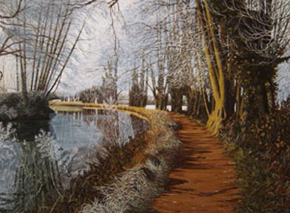 Path In The Woods