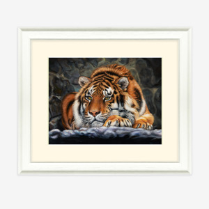 Art Print Framed Tiger 2506