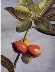 Image1