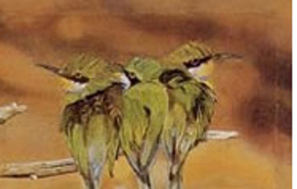 Image2