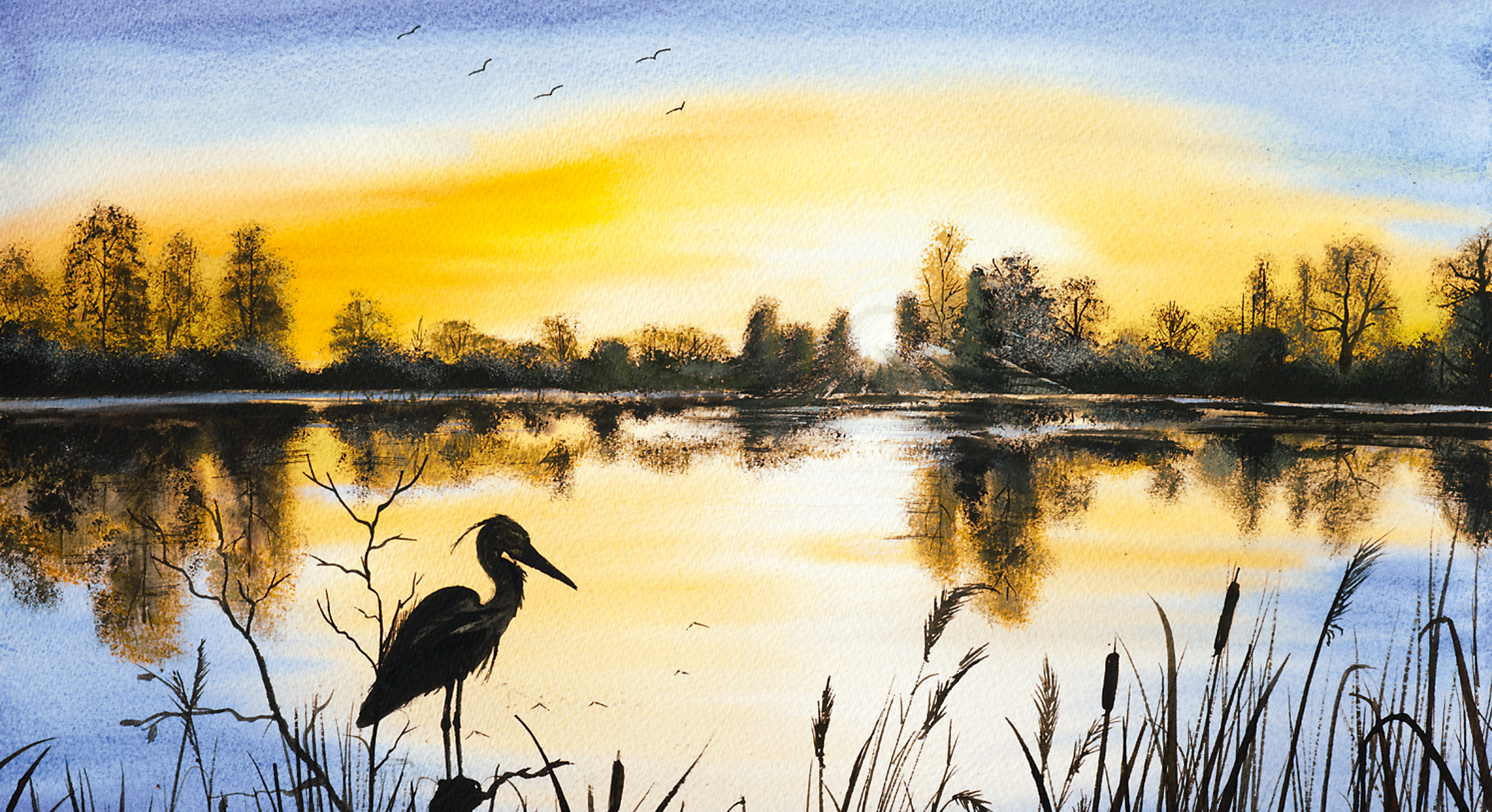 Stephen Chamber The Heron