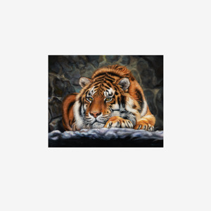 Art Print Unframed Tiger 2506