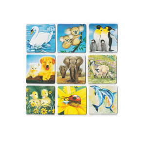 Memory Game Cards