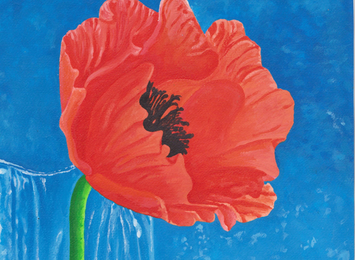 Poppy