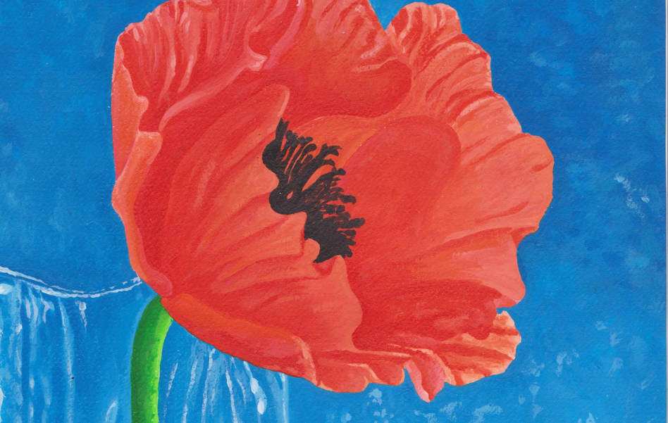 Poppy