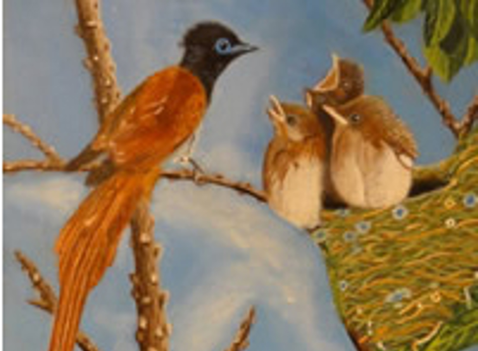 Image3
