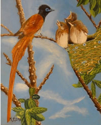 Image3