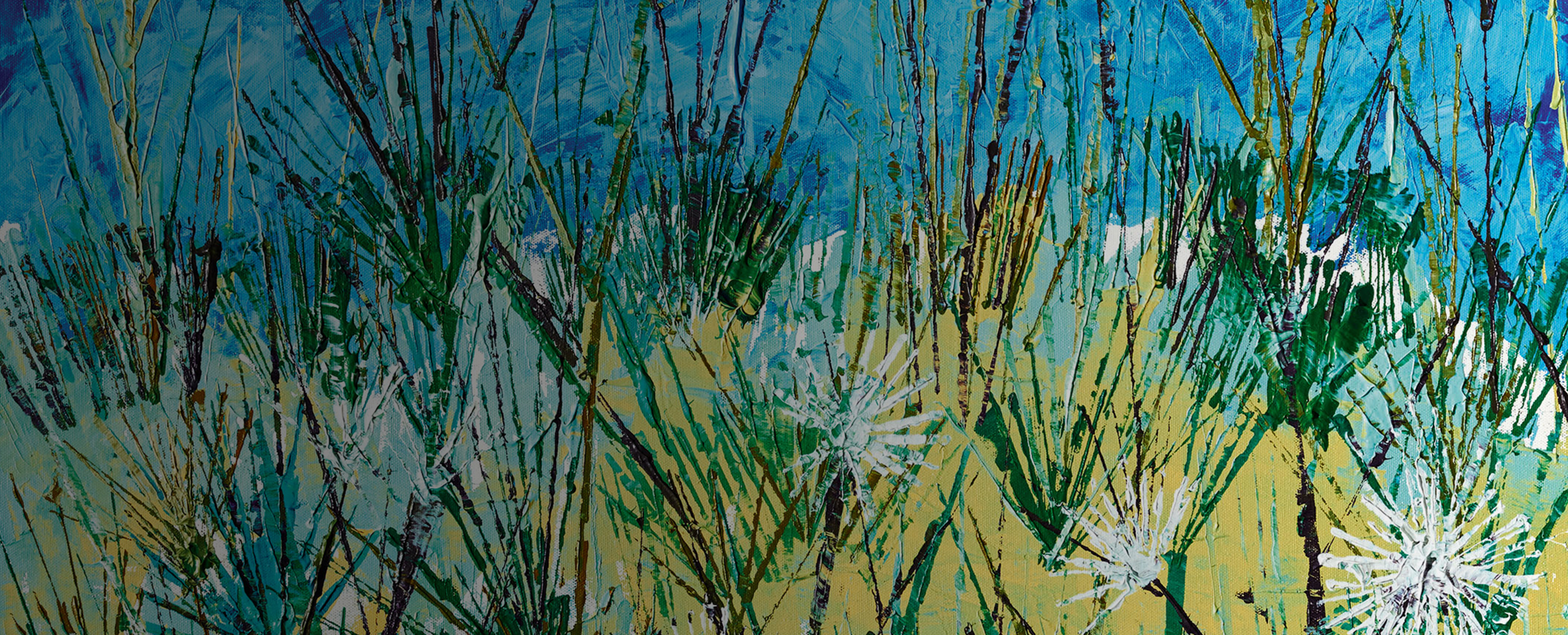 MFPA Artwork Dandelion Slider