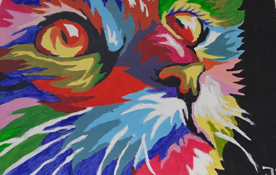 Colour Cat