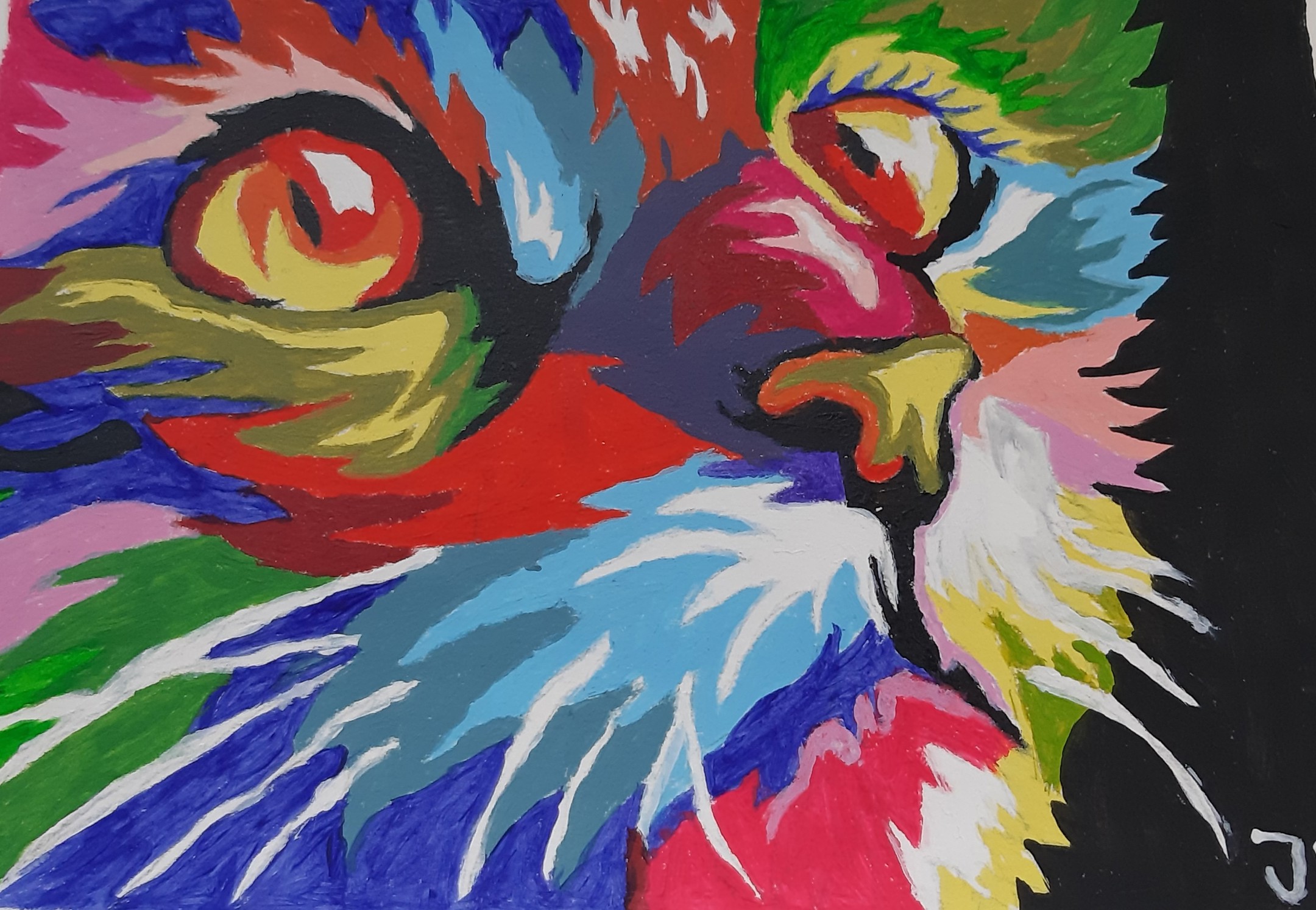 Colour Cat