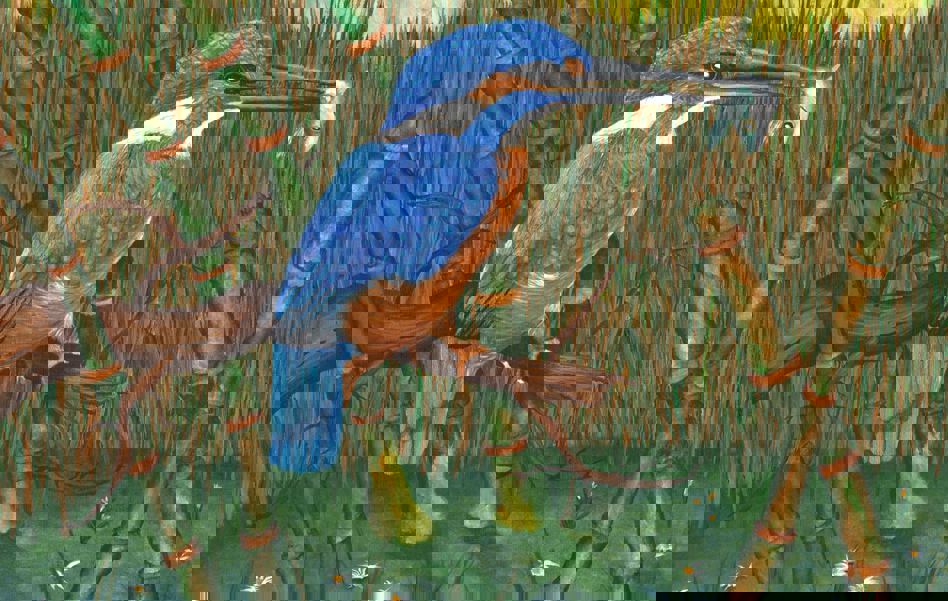 1962238 669539286440585 1590607624 O