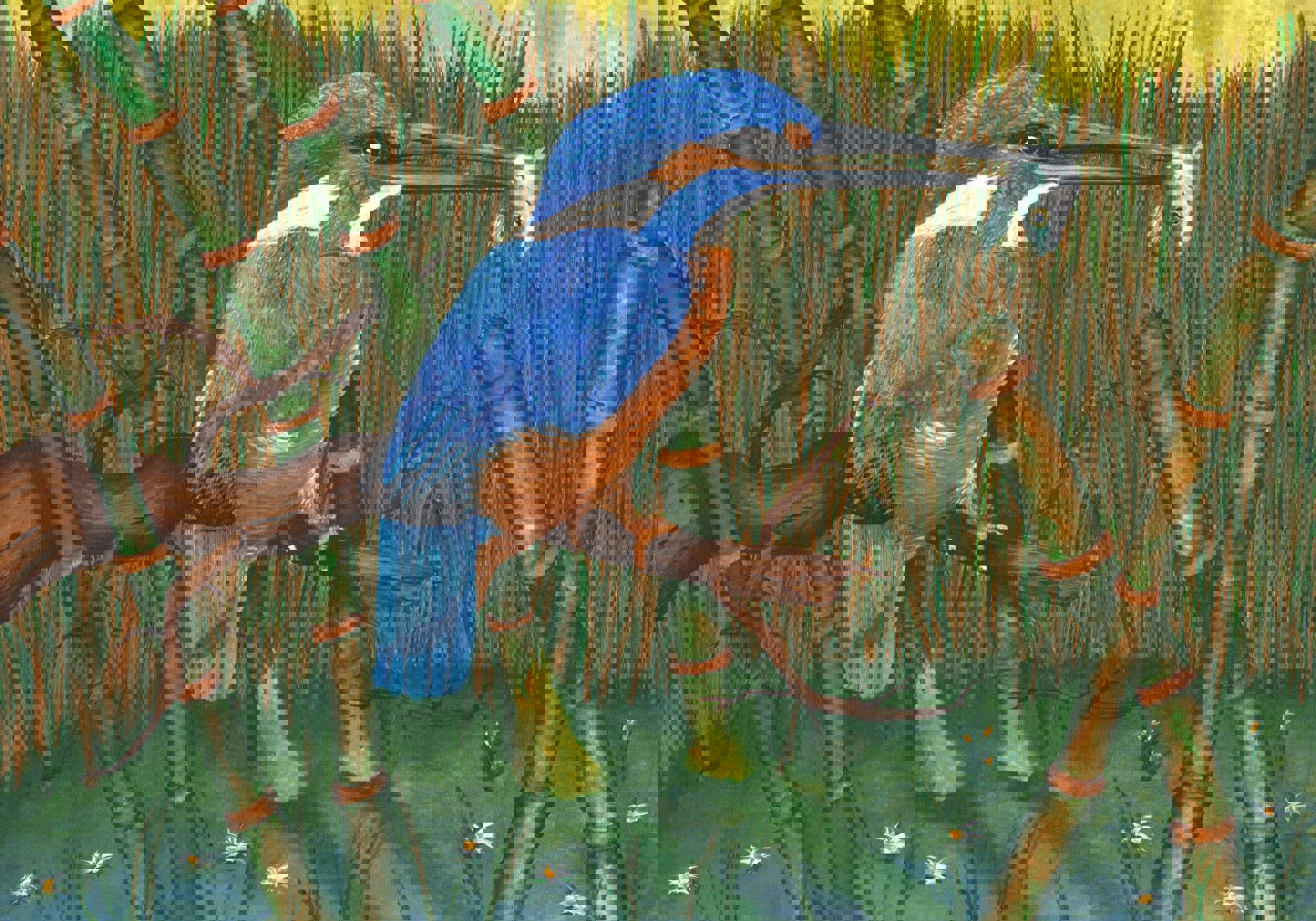 1962238 669539286440585 1590607624 O