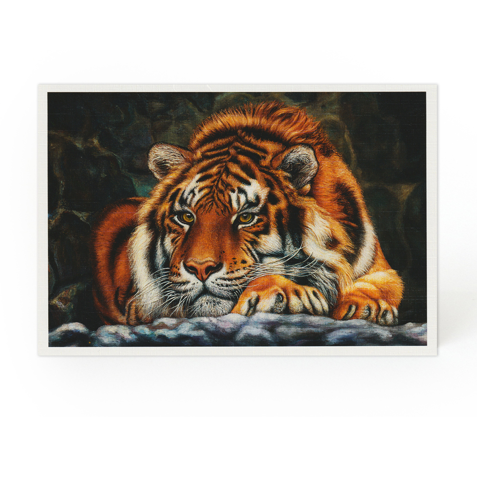 2506 Blank Card
