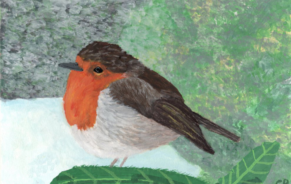 Robin