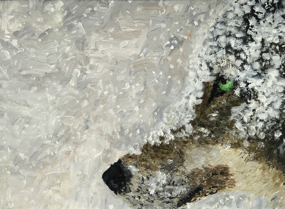 Wolf In Snow