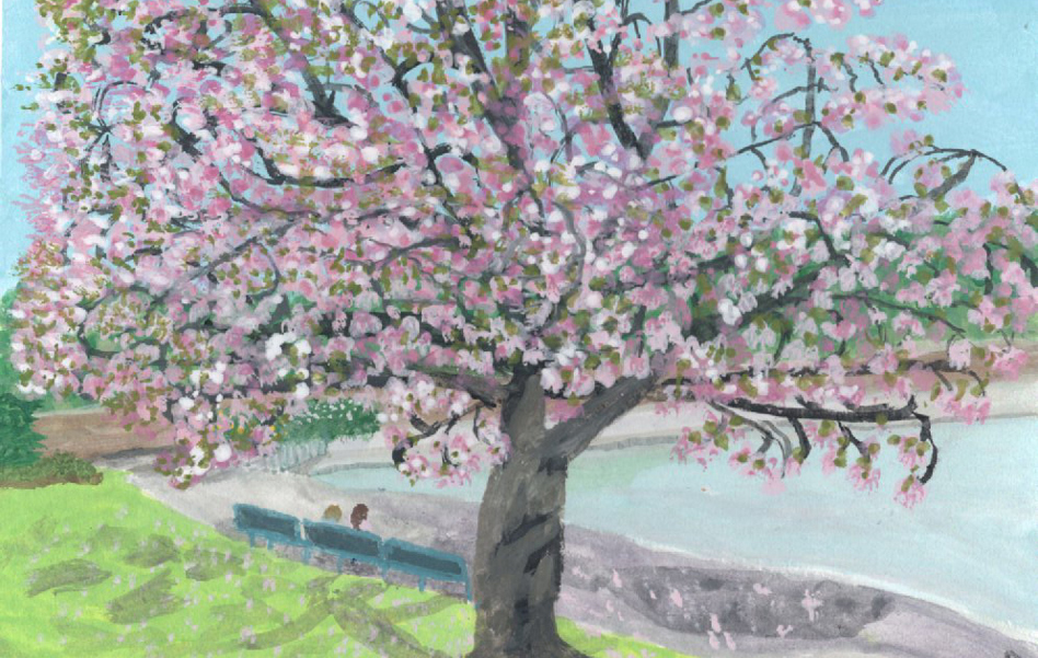 Blossom