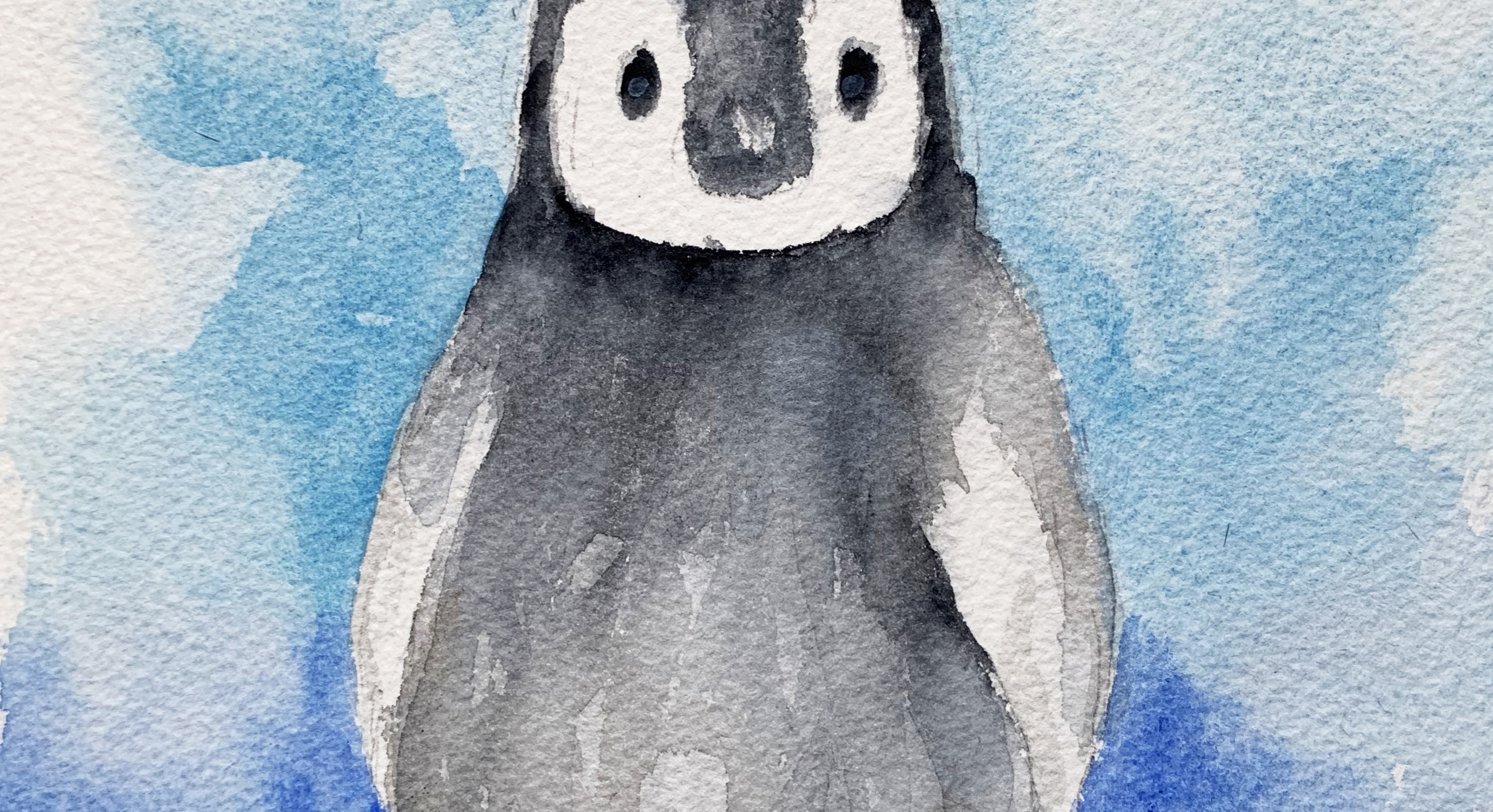 Penguin In The Snow