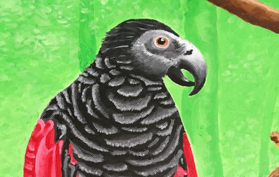 Unknown 5